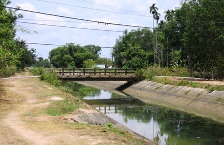 Building new rural areas in Cu Chi district - ảnh 1